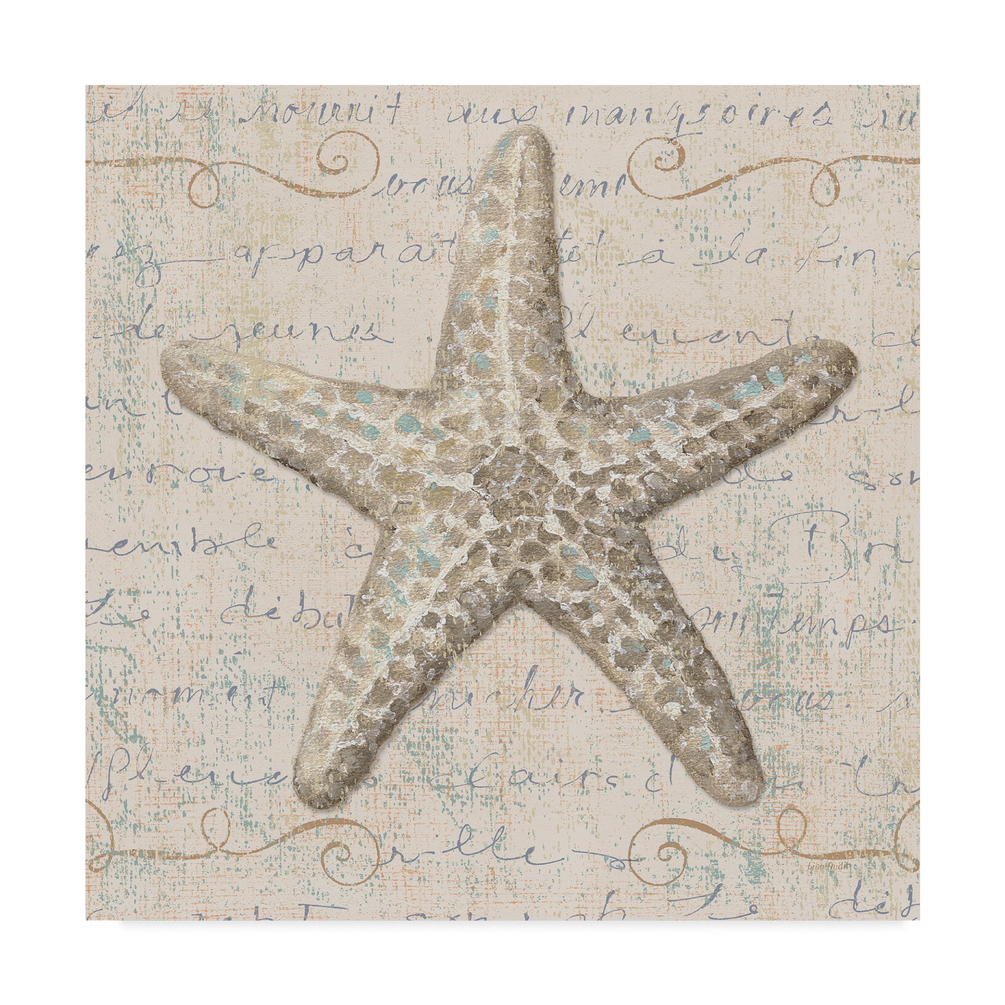 Trademark Fine Art 'Coastal Beauty II' Canvas Art by Lisa Audit