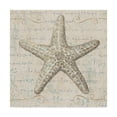 thumbnail image 1 of Trademark Fine Art 'Coastal Beauty II' Canvas Art by Lisa Audit, 1 of 3
