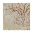 thumbnail image 1 of Trademark Fine Art 'Coastal Cameo VI' Canvas Art by June Erica Vess, 1 of 4