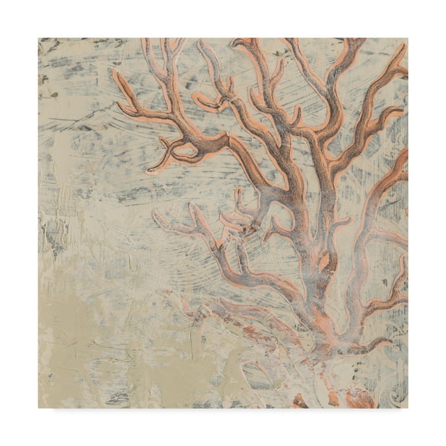 Trademark Fine Art 'Coastal Cameo VI' Canvas Art by June Erica Vess