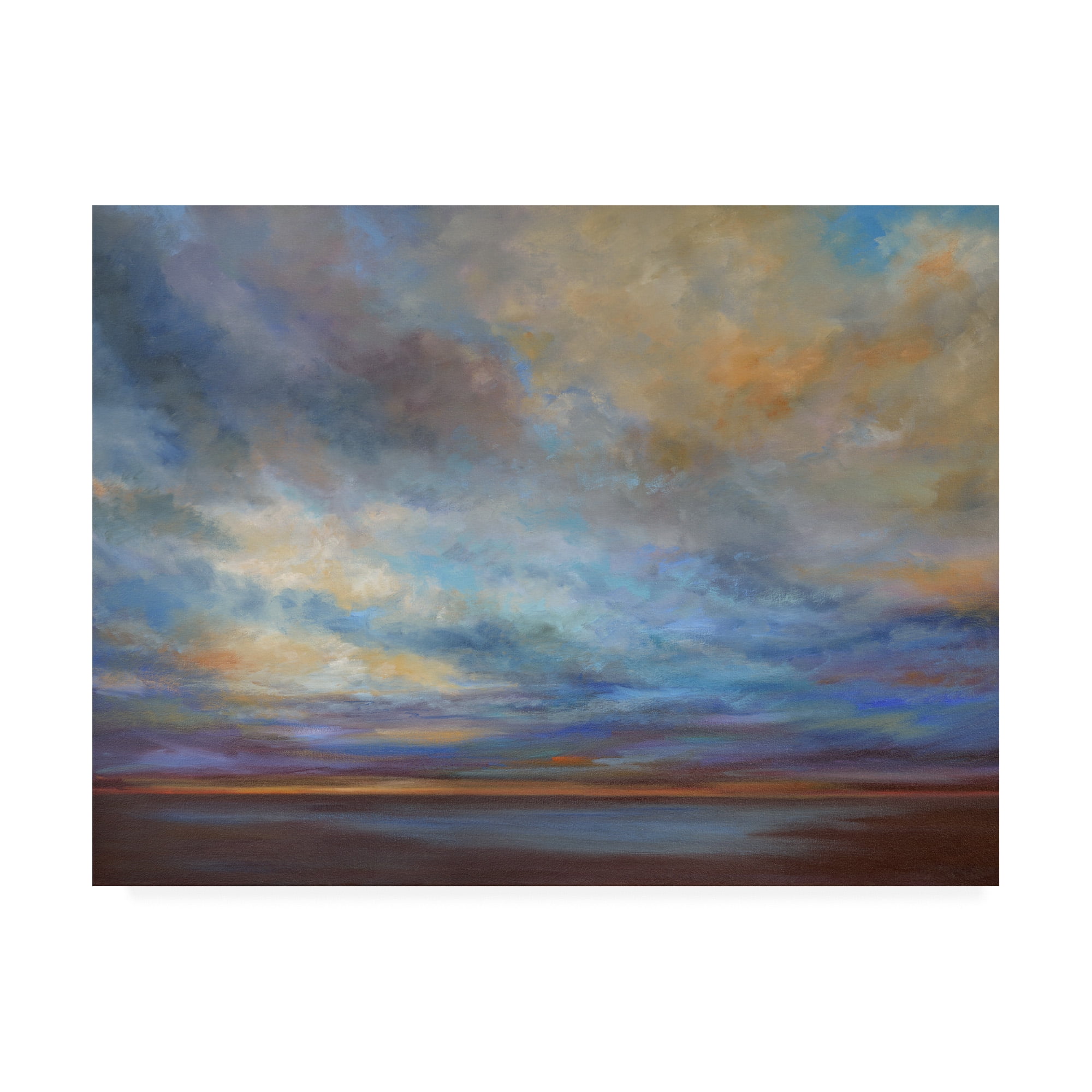 Trademark Fine Art 'Coastal Clouds I' Canvas Art by Sheila Finch