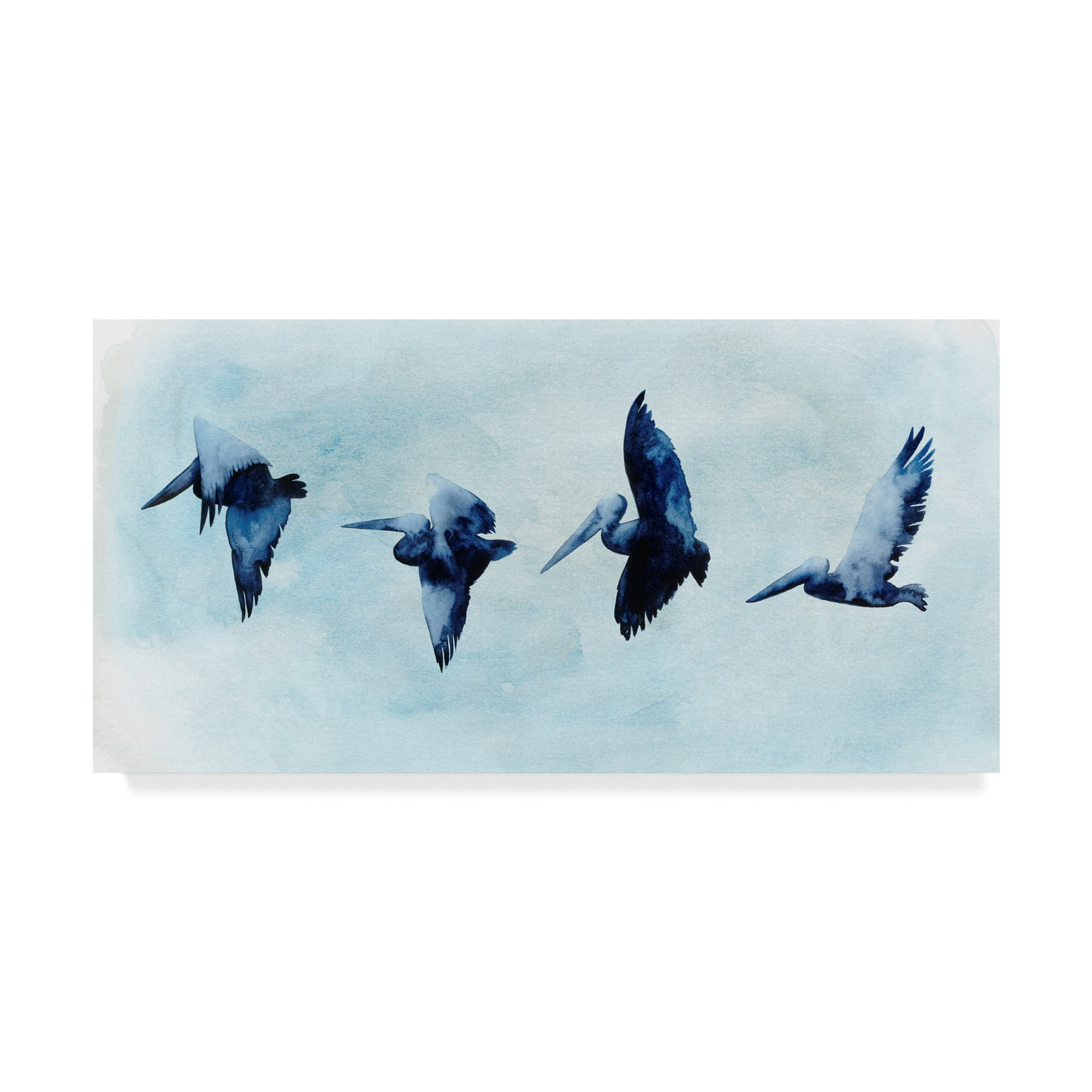 Trademark Fine Art 'Coastal Covey I' Canvas Art by Grace Popp