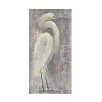 Trademark Fine Art 'Coastal Egret I' Canvas Art by Albena Hristova