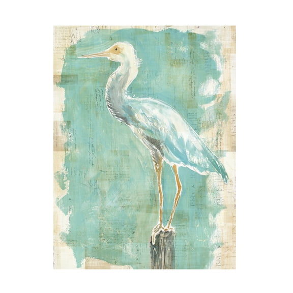 Trademark Fine Art 'Coastal Egret II v2' Canvas Art by Sue Schlabach