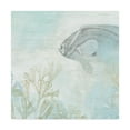 thumbnail image 1 of Trademark Fine Art 'Coastal Fresco II' Canvas Art by June Erica Vess, 1 of 4