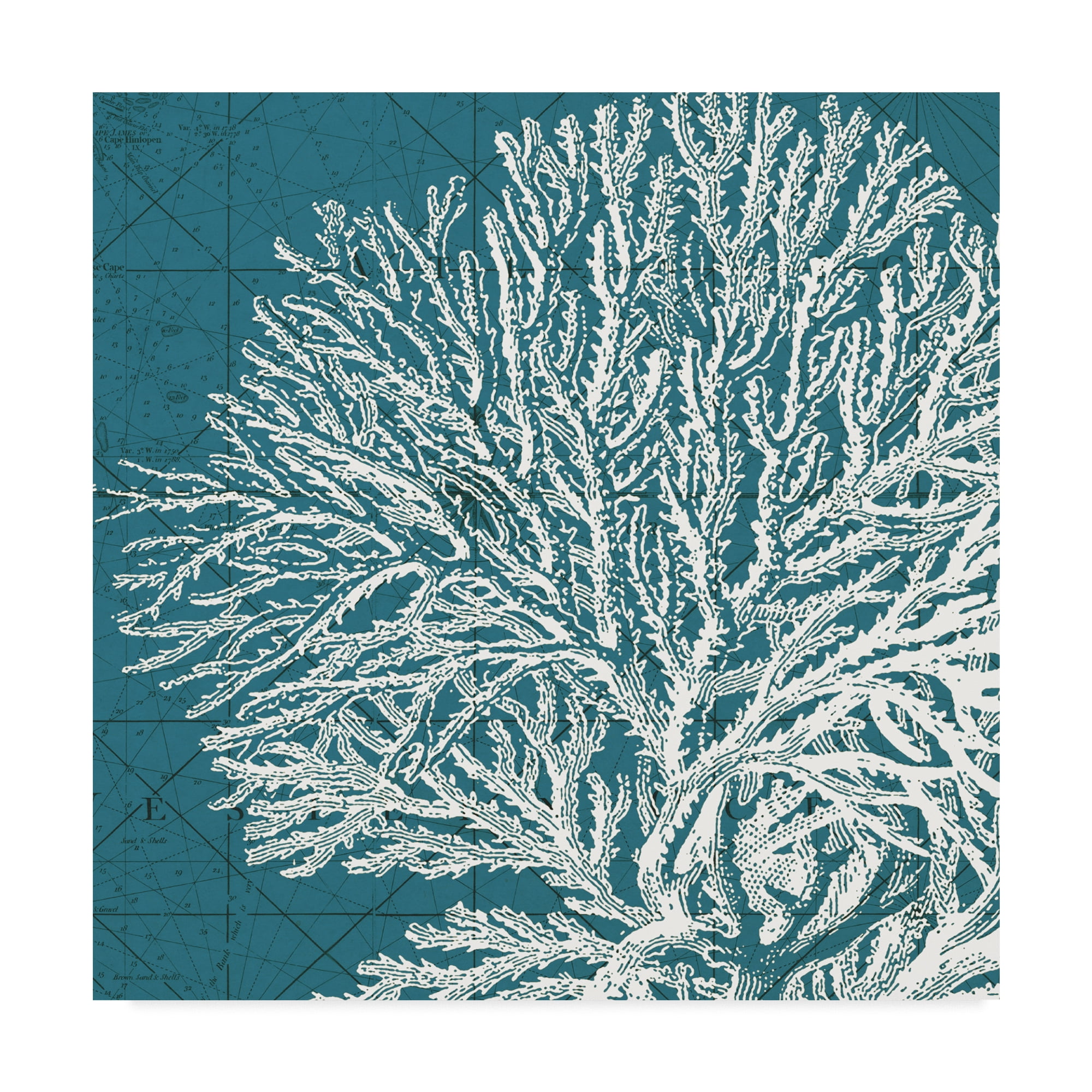 Trademark Fine Art 'Coastal Menagerie I' Canvas Art by Vision Studio