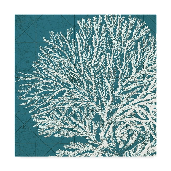 Trademark Fine Art 'Coastal Menagerie I' Canvas Art by Vision Studio