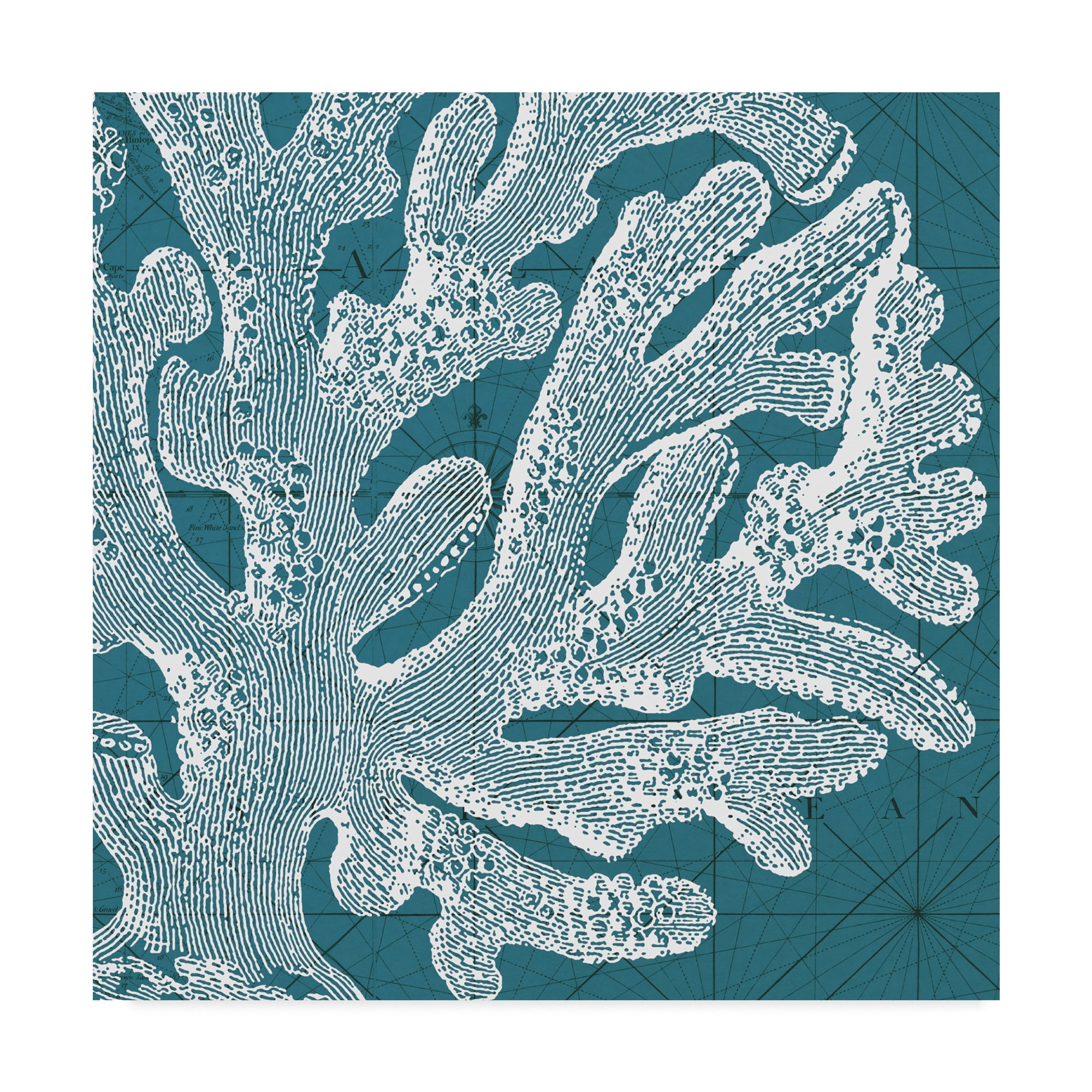 Trademark Fine Art 'Coastal Menagerie II' Canvas Art by Vision Studio