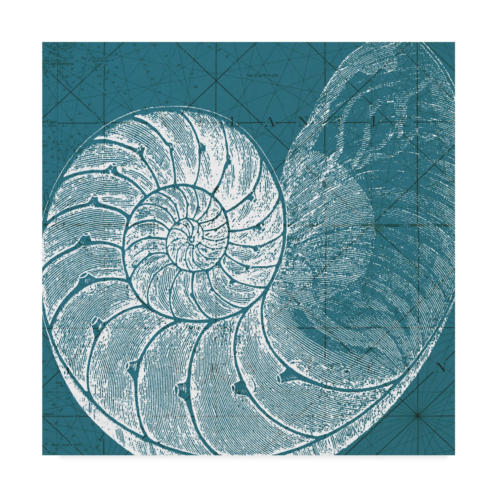 Trademark Fine Art 'Coastal Menagerie VI' Canvas Art by Vision Studio