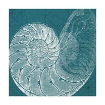 Trademark Fine Art 'Coastal Menagerie VI' Canvas Art by Vision Studio