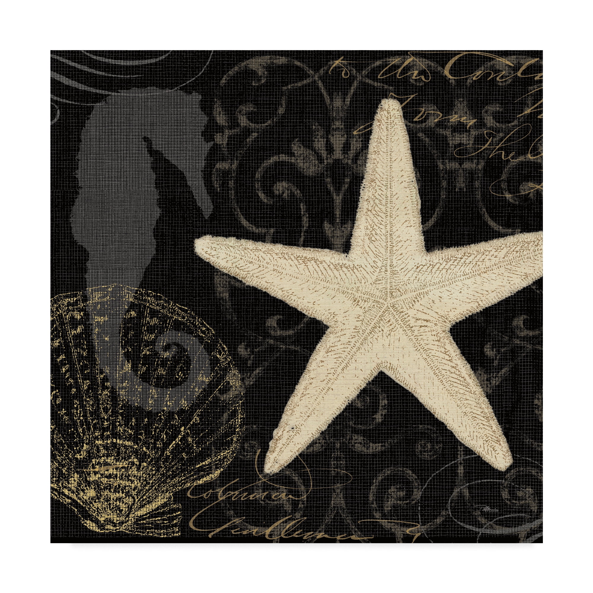 Trademark Fine Art 'Coastal Moonlight I' Canvas Art by Pela Studio