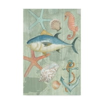 Trademark Fine Art 'Coastal Nautical 1' Canvas Art by Marietta Cohen Art And Design