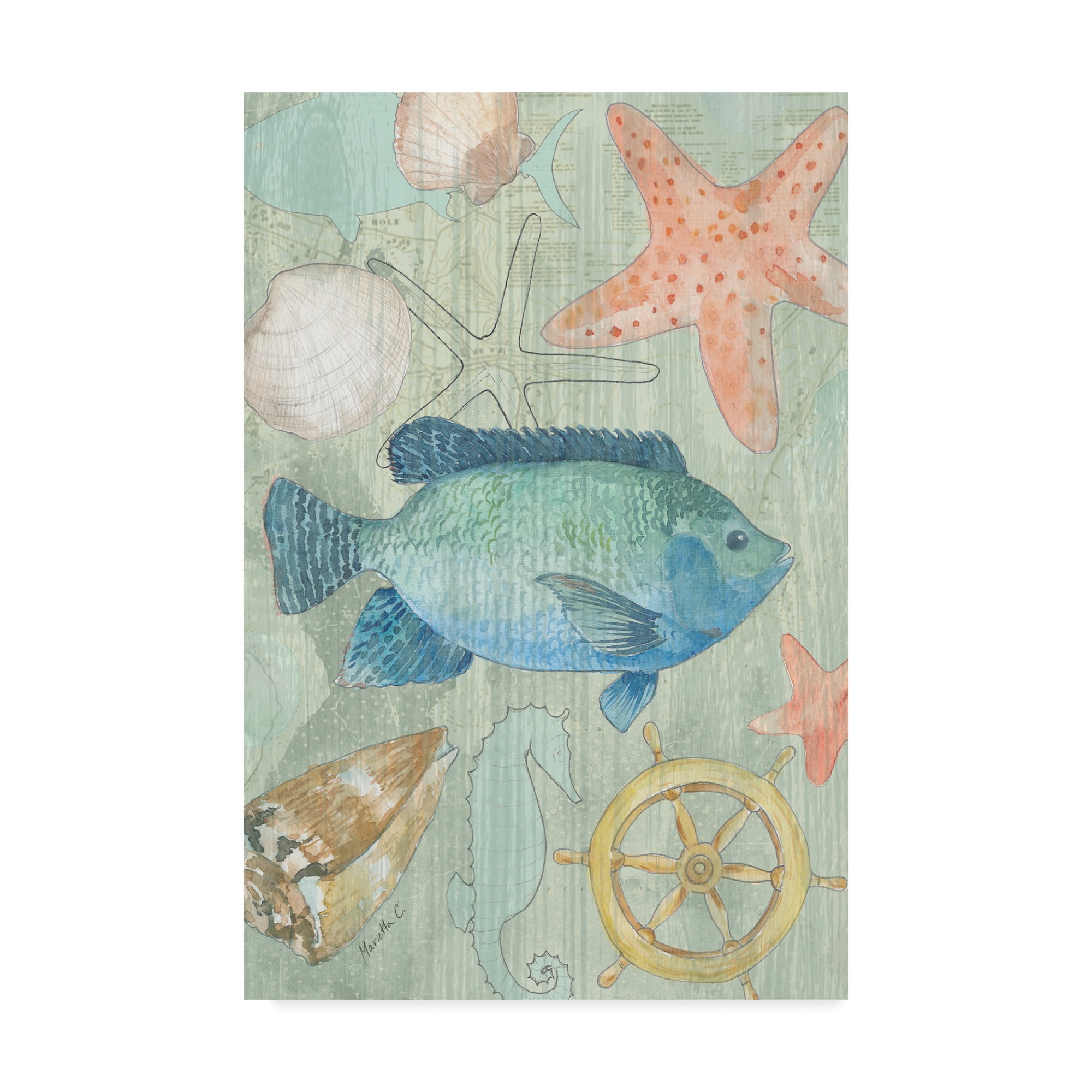 Trademark Fine Art 'Coastal Nautical 2' Canvas Art by Marietta Cohen Art And Design