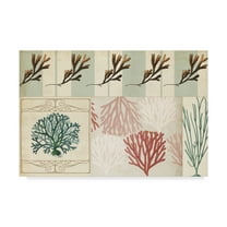 Trademark Fine Art 'Coastal Patternbook I' Canvas Art by Vision Studio