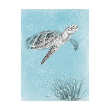 Trademark Fine Art 'Coastal Sea Life I v2' Canvas Art by Beth Grove