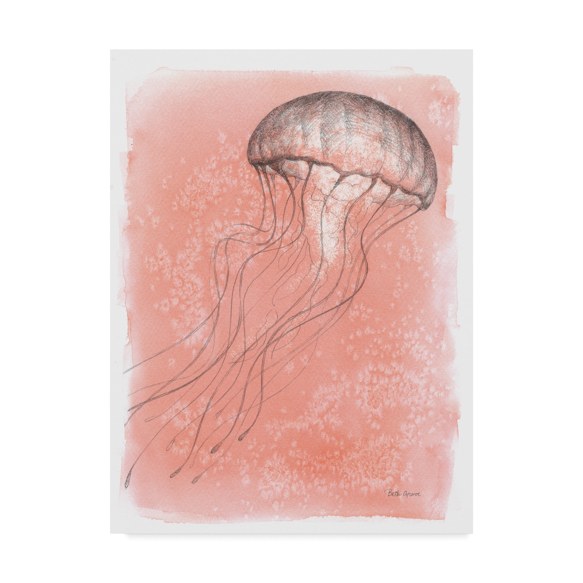 Beth Grove Pink Jellyfish Abstract Canvas Art, 24" x 32"
