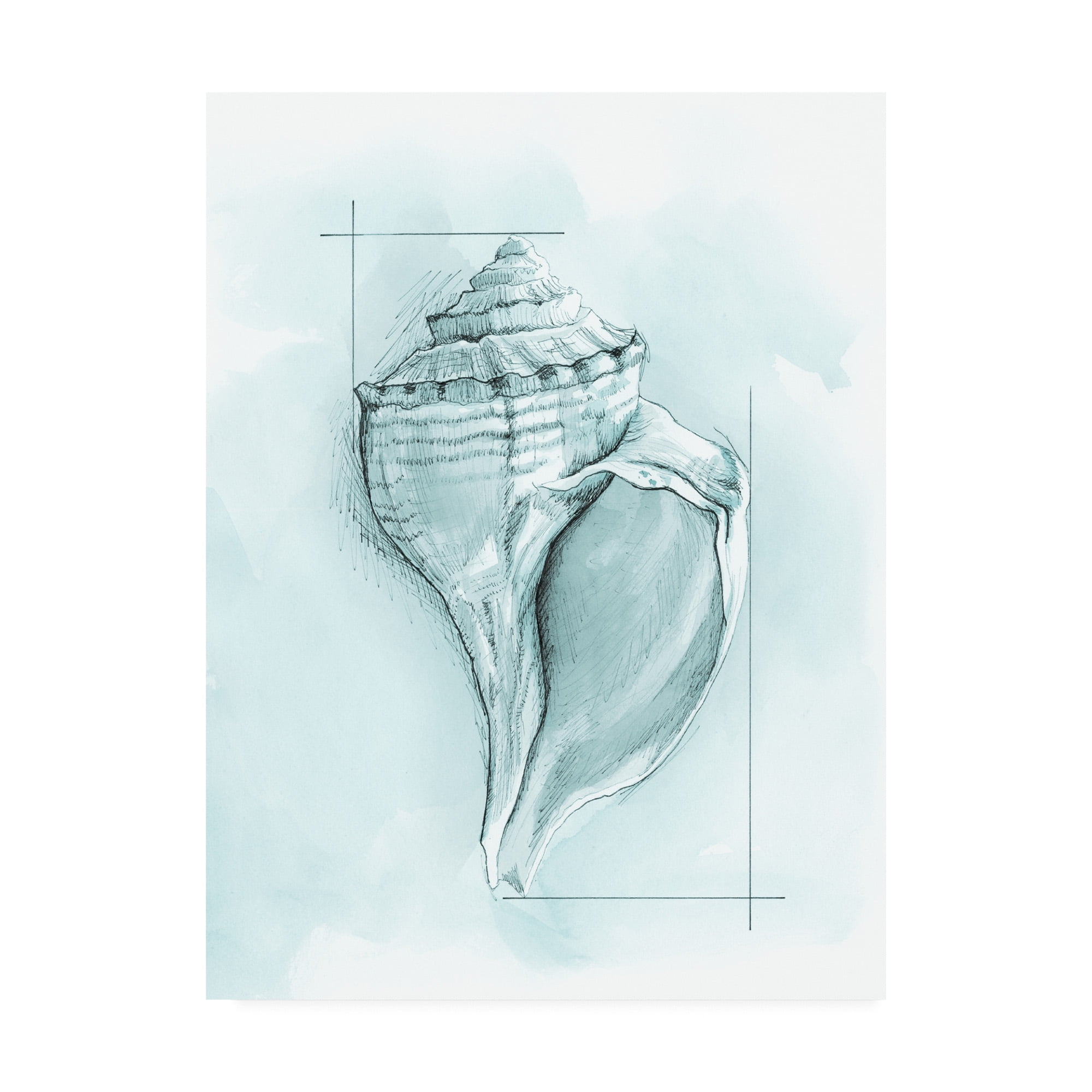 Coastal Shell Schematic I Light Blue Canvas Art