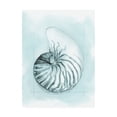 thumbnail image 1 of Trademark Fine Art 'Coastal Shell Schematic II' Canvas Art by Megan Meagher, 1 of 3