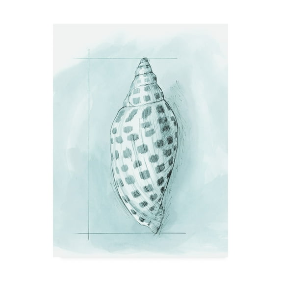 Trademark Fine Art 'Coastal Shell Schematic IV' Canvas Art by Megan Meagher