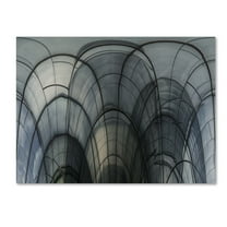 Trademark Fine Art 'Cobweb Cathedral' Canvas Art by Luc Vangindertael