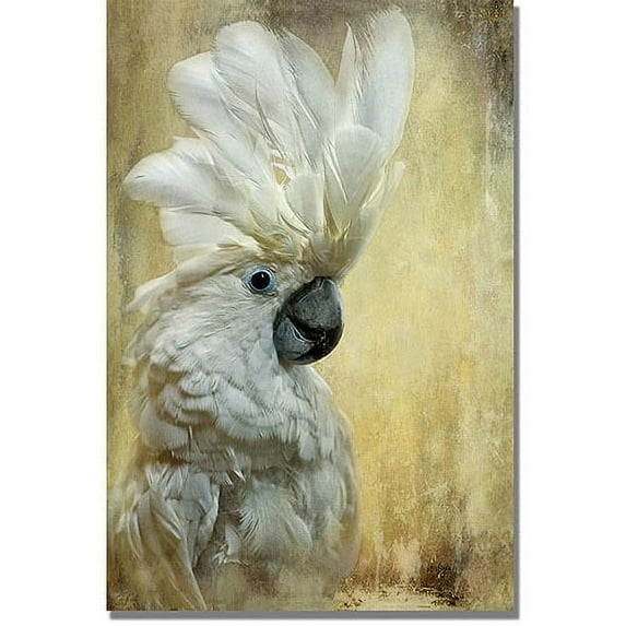 Trademark Fine Art "Cockatoo" Canvas Wall Art by Lois Bryan
