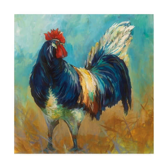 Trademark Fine Art 'Cocky' Canvas Art by Jeanette Vertentes