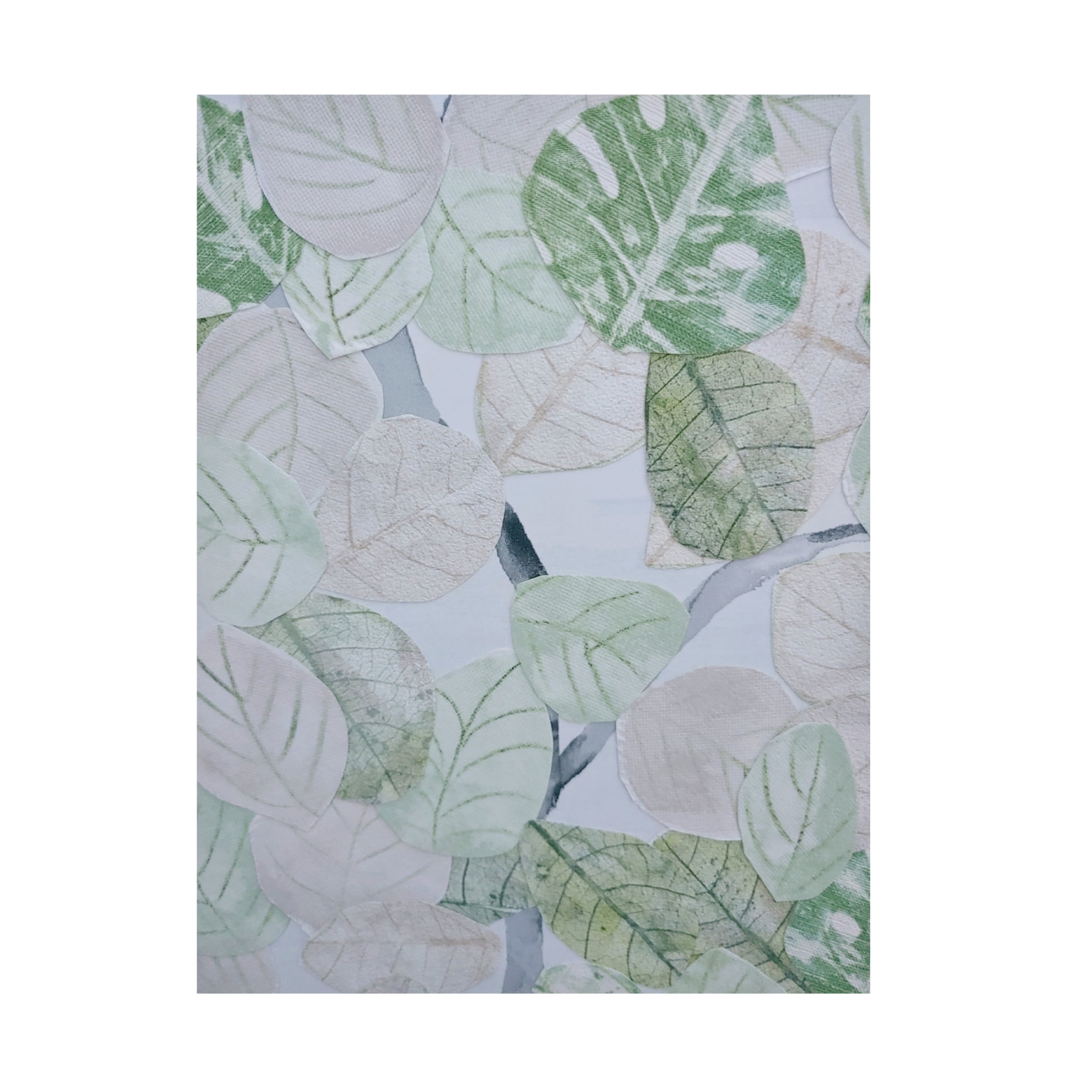 Trademark Fine Art Coco Good  Aspen Spring Leaves I Canvas Wall Art