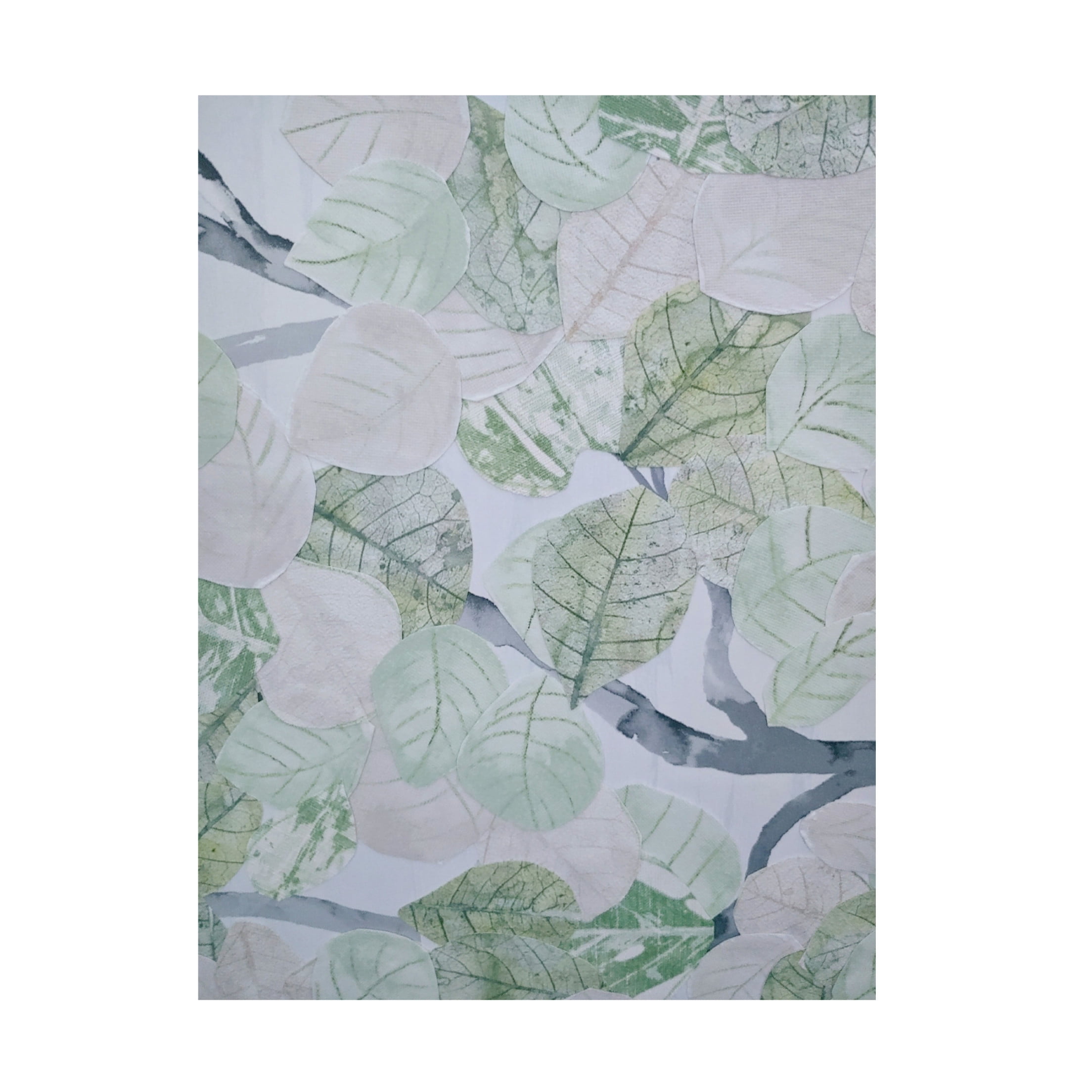 Trademark Fine Art Coco Good  Aspen Spring Leaves IV Canvas Wall Art