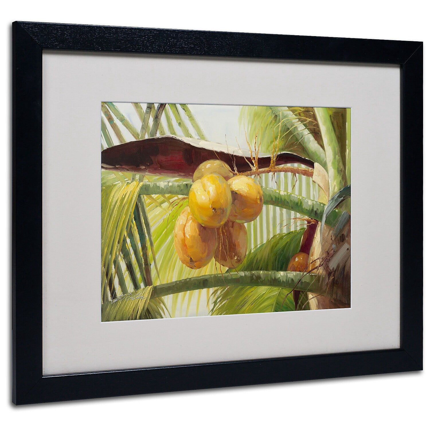 Trademark Fine Art "Coconut Palm I" Canvas Art by Victor Giton, Black Frame