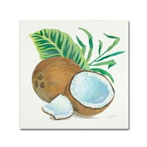 Trademark Fine Art 'Coconut Palm II' Canvas Art by Mary Urban