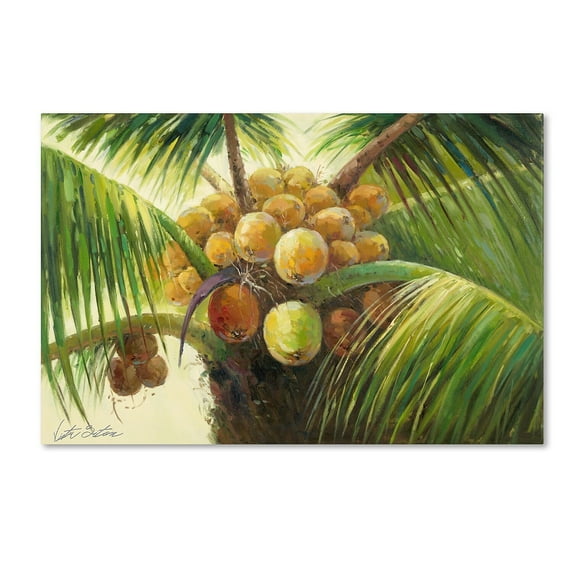 Trademark Fine Art "Coconut Palm II" Canvas Art by Victor Giton