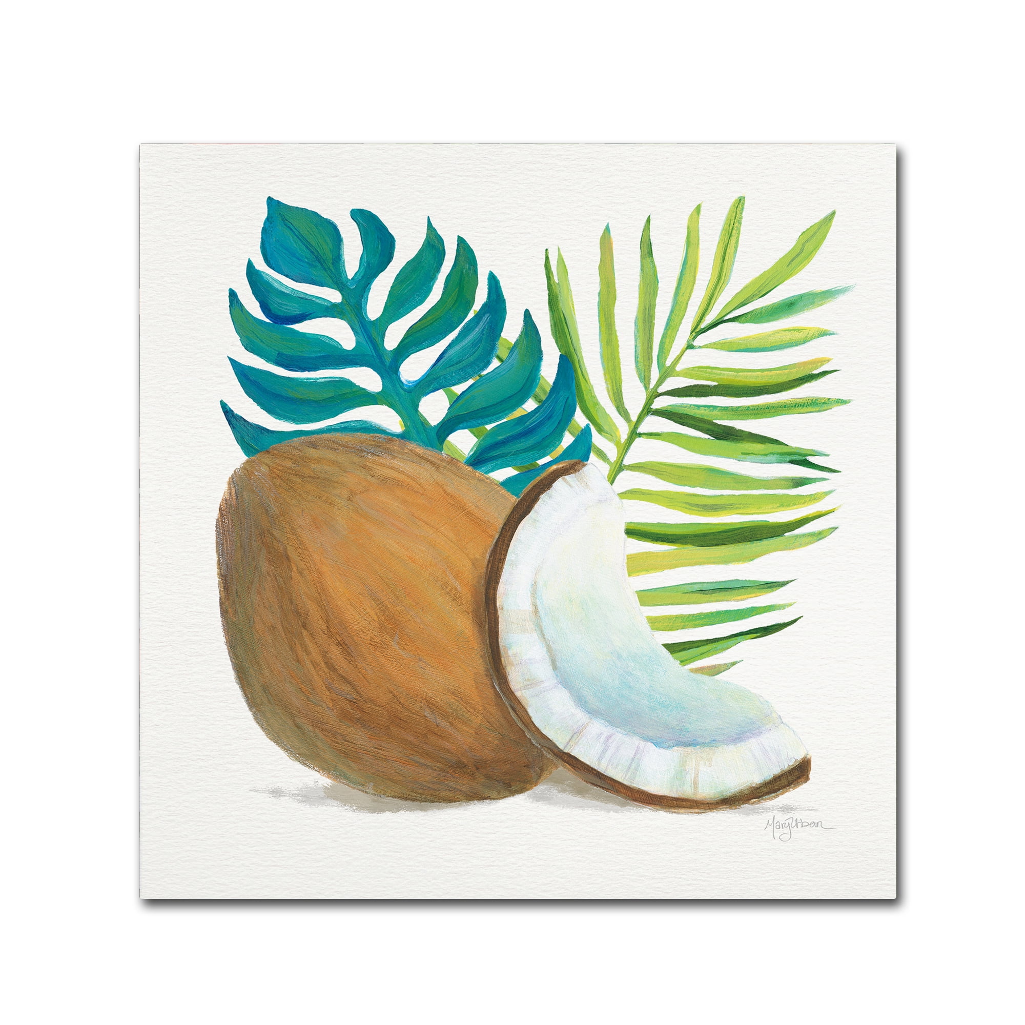 Trademark Fine Art 'Coconut Palm IV' Canvas Art by Mary Urban