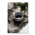 thumbnail image 1 of Trademark Fine Art 'Coffee And Pine' Canvas Art by Thomas, 1 of 3