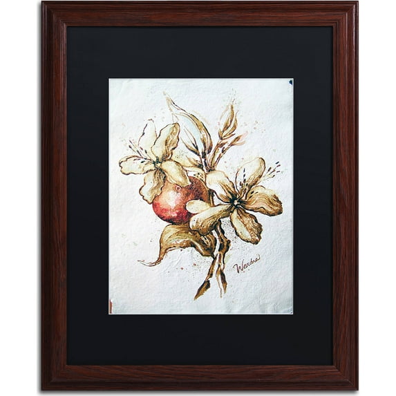Trademark Fine Art "Coffee Flower and Bean" Canvas Art by Wendra, Black Matte, Wood Frame