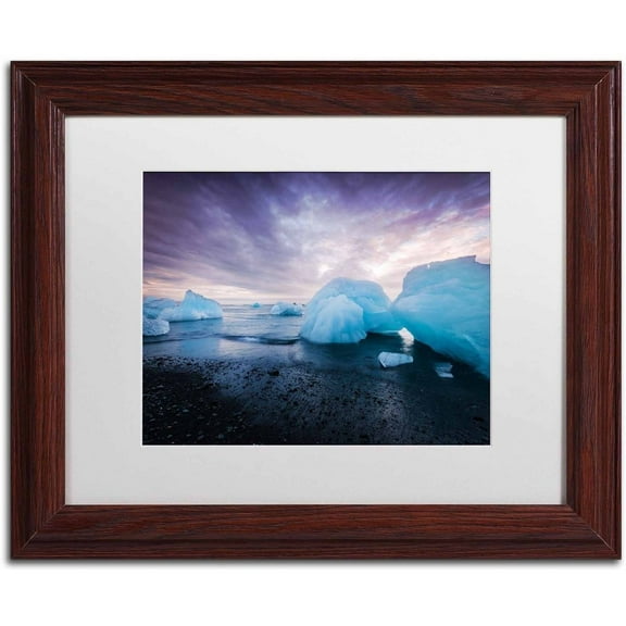 Trademark Fine Art 'Cold Light' Canvas Art by Philippe Sainte-Laudy, White Matte, Wood Frame