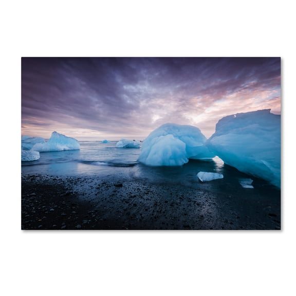 Trademark Fine Art 'Cold Light' Canvas Art by Philippe Sainte-Laudy
