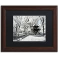 thumbnail image 1 of Trademark Fine Art "Coldness" Canvas Art by Philippe Hugonnard, Black Matte, Wood Frame, 1 of 4