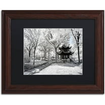 Trademark Fine Art "Coldness" Canvas Art by Philippe Hugonnard, Black Matte, Wood Frame
