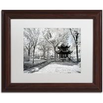 Trademark Fine Art "Coldness" Canvas Art by Philippe Hugonnard, White Matte, Wood Frame