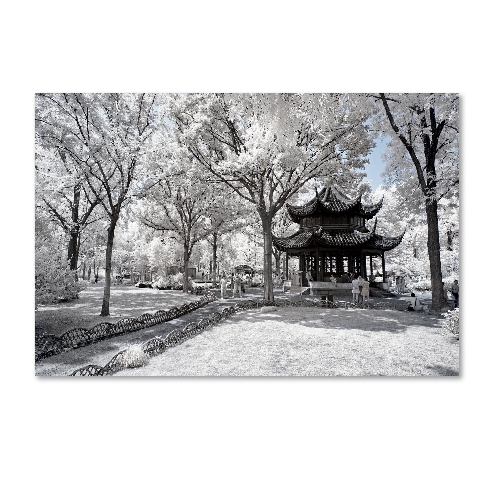 Trademark Fine Art "Coldness" Canvas Art by Philippe Hugonnard