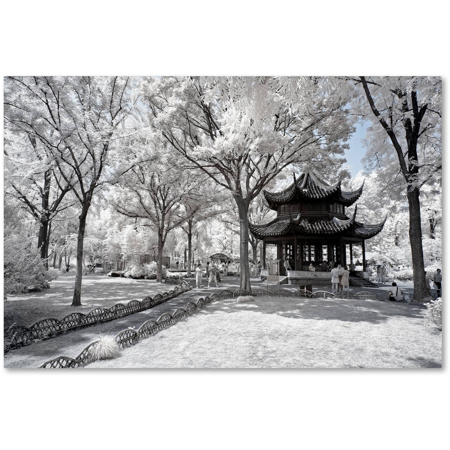 Trademark Fine Art "Coldness" Canvas Art by Philippe Hugonnard