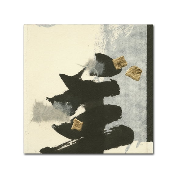 Trademark Fine Art 'Collage IV' Canvas Art by Chris Paschke