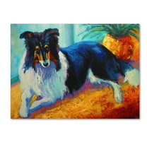 Trademark Fine Art 'Collie' Canvas Art by Marion Rose