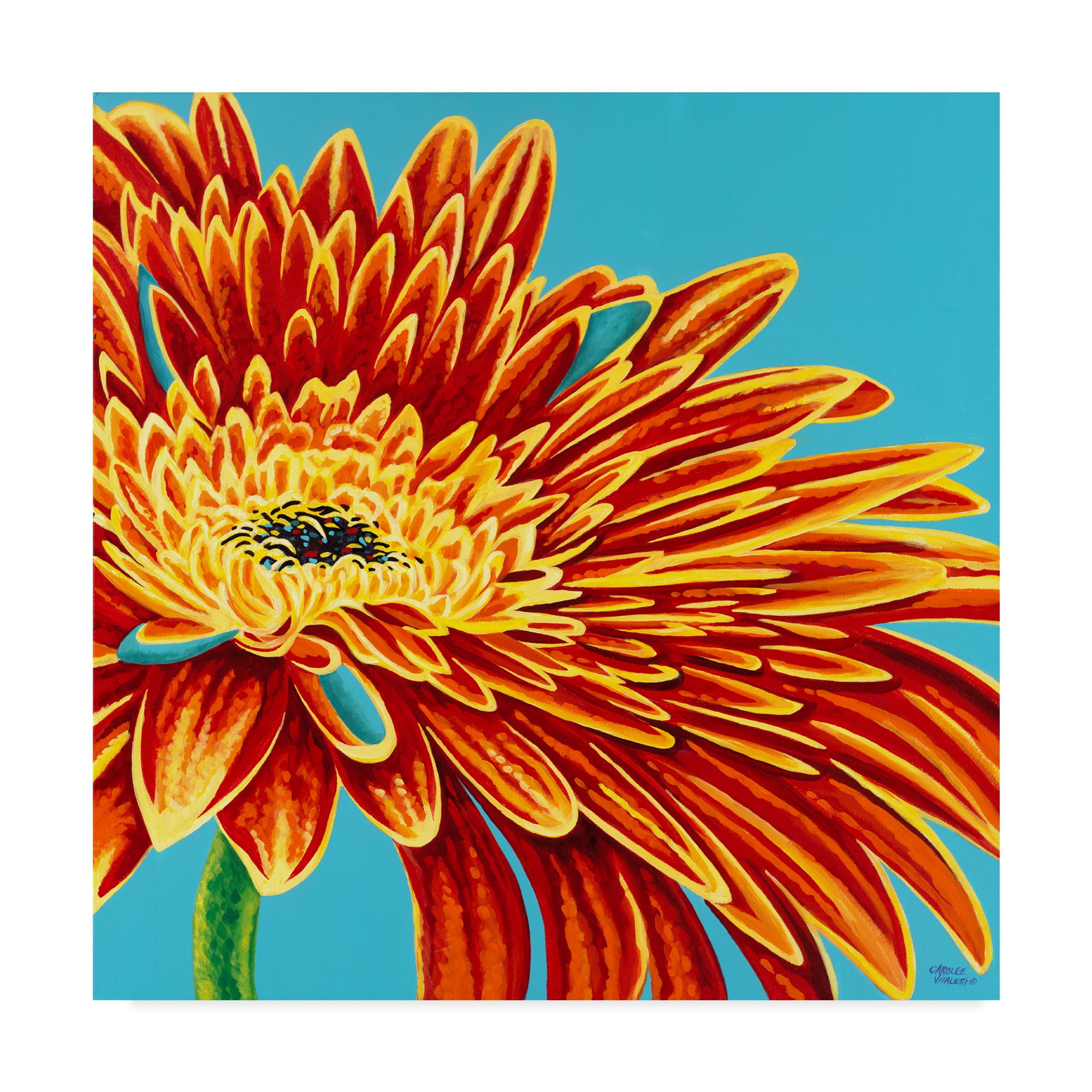 Trademark Fine Art 'Color Bursts I' Canvas Art by Carolee Vitaletti