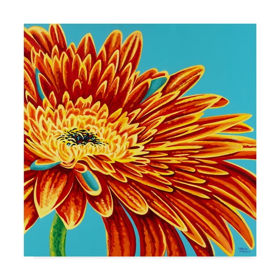 Trademark Fine Art 'Color Bursts I' Canvas Art by Carolee Vitaletti