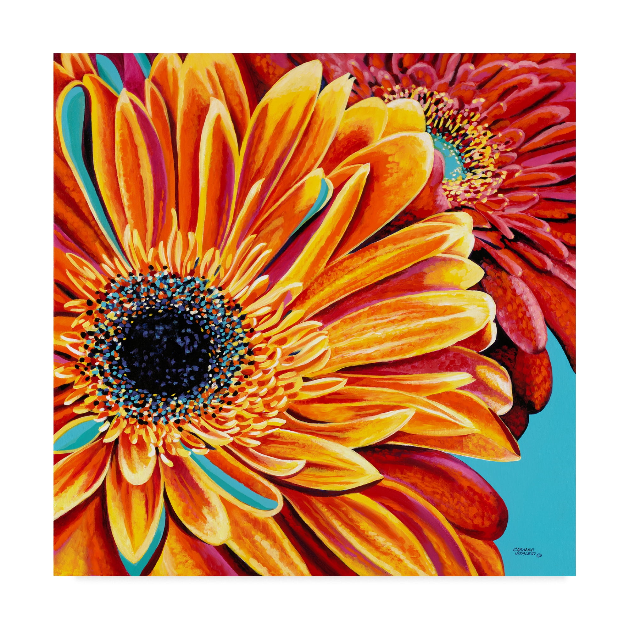 Trademark Fine Art 'Color Bursts II' Canvas Art by Carolee Vitaletti