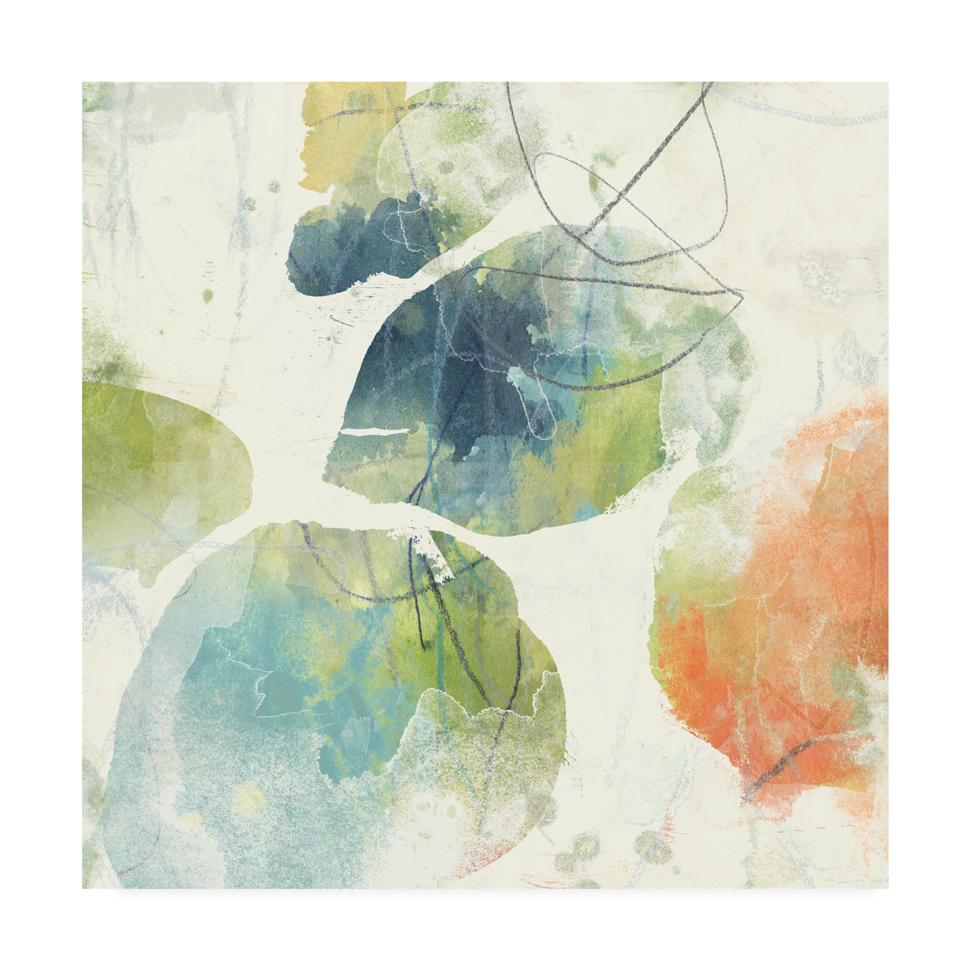 Trademark Fine Art 'Color Motion Ii' Canvas Art by June Erica Vess