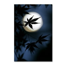 Trademark Fine Art 'Color Of Japan' Canvas Art by Kouji Tomihisa