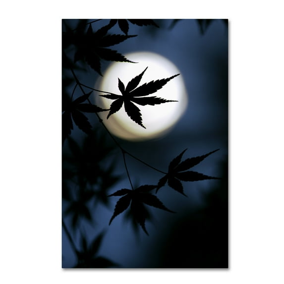 Trademark Fine Art 'Color Of Japan' Canvas Art by Kouji Tomihisa