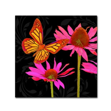 Trademark Fine Art 'Color Pop II' Canvas Art by Tina Lavoie